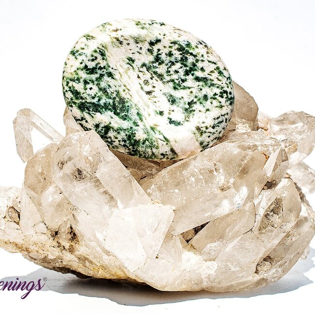 Tree Agate Worry (Thumb Fidget Relaxation Pocket) Stones - Large Oval