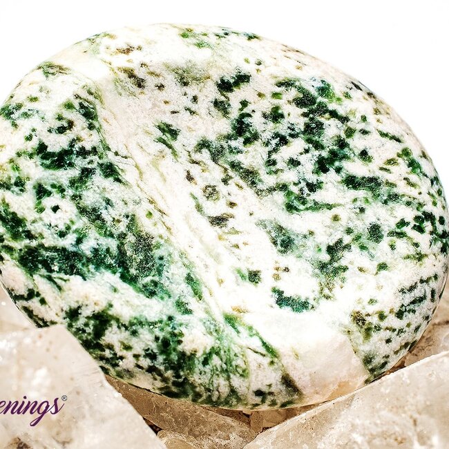 Tree Agate Worry (Thumb Fidget Relaxation Pocket) Stones - Large Oval