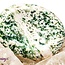 Tree Agate Worry (Thumb Fidget Relaxation Pocket) Stones - Large Oval
