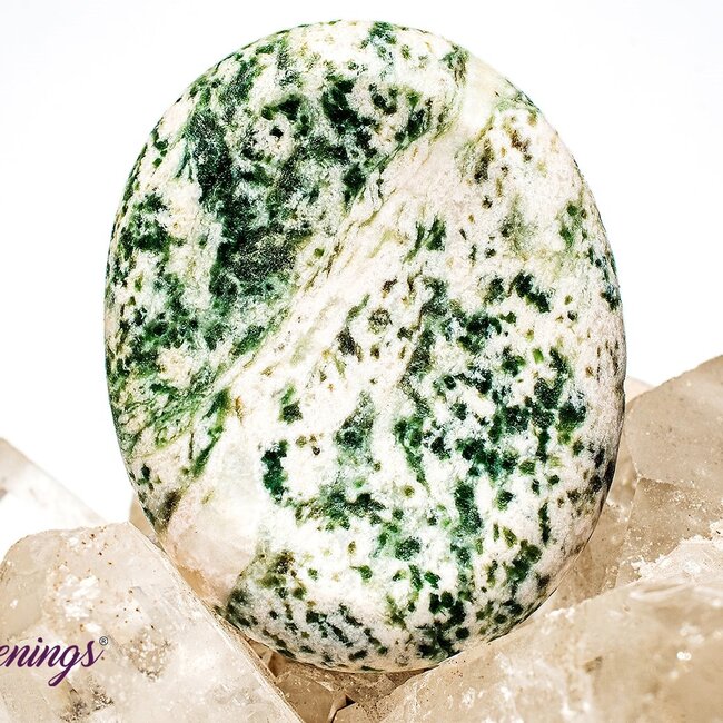 Tree Agate Worry (Thumb Fidget Relaxation Pocket) Stones - Large Oval