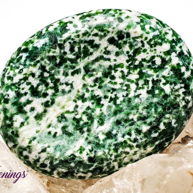 Tree Agate Worry (Thumb Fidget Relaxation Pocket) Stones - Large Oval