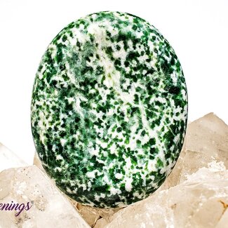 Tree Agate Worry (Thumb Fidget Relaxation Pocket) Stones - Large Oval