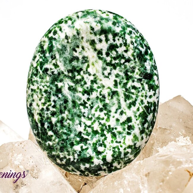 Tree Agate Worry (Thumb Fidget Relaxation Pocket) Stones - Large Oval