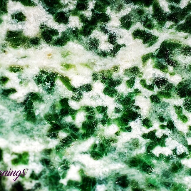 Tree Agate Worry (Thumb Fidget Relaxation Pocket) Stones - Large Oval