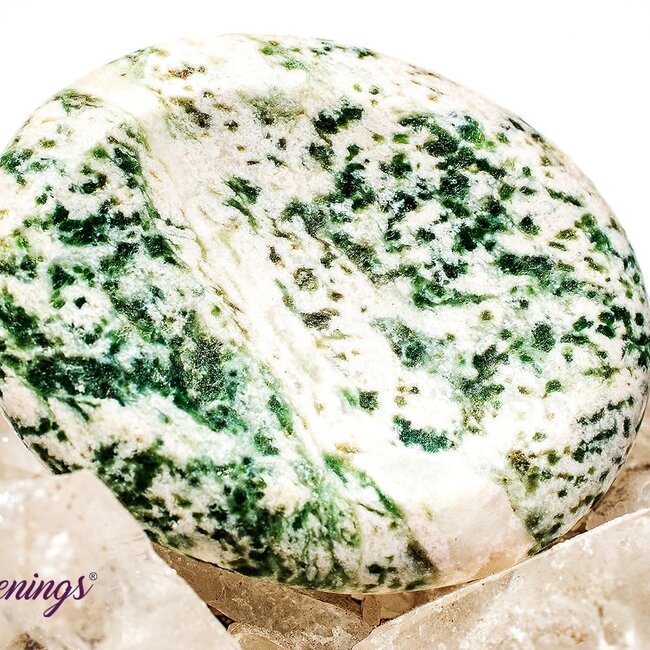 Tree Agate Worry (Thumb Fidget Relaxation Pocket) Stones - Large Oval