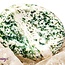 Tree Agate Worry (Thumb Fidget Relaxation Pocket) Stones - Large Oval