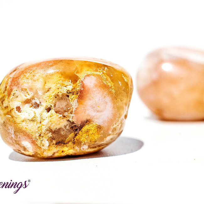 Flower Agate (Cherry Blossom) - Tumbled