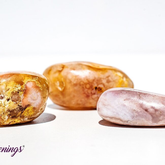 Flower Agate (Cherry Blossom) - Tumbled