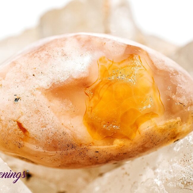 Flower Agate (Cherry Blossom) - Tumbled