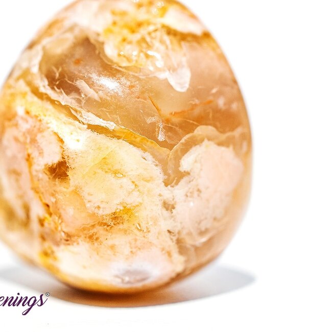 Flower Agate (Cherry Blossom) - Tumbled