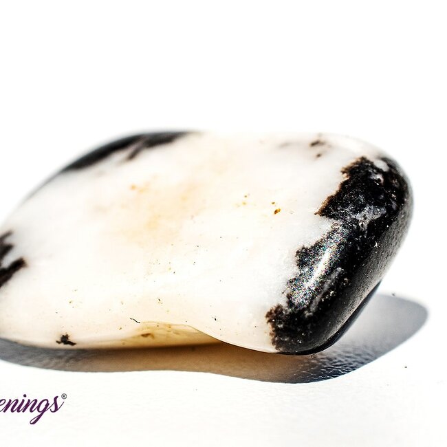 Zebra Agate  - Tumbled Smooth