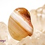 Banded Agate - Tumbled