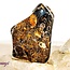 Turritella Agate - Large