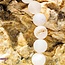 Matte White Agate Bracelets - 8mm
