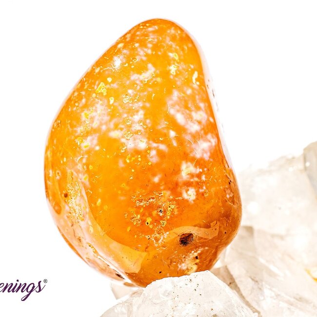 Madagascar Carnelian - Tumbled