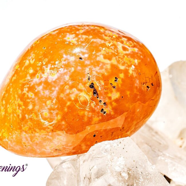 Madagascar Carnelian - Tumbled