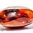 Banded Carnelian Palm Pillow Pocket Stones