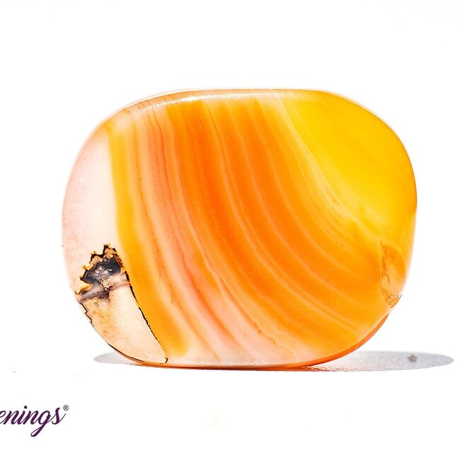 Carnelian Flat Stone - Mini