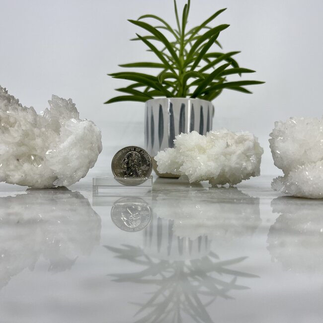 Snow White Aragonite Clusters- Medium (3-4") Rough Raw Natural