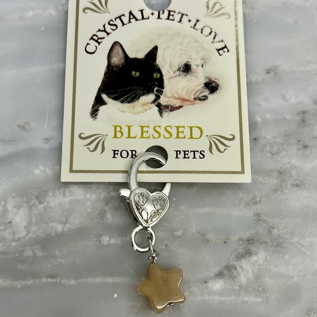 Pet Pendant (Star) Charm - Citrine (Blessed) Dog Cat Animal Collar Pendant