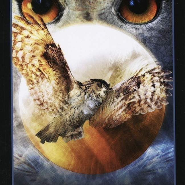 The Halloween Oracle Cards Deck - Tarot Cards