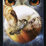 The Halloween Oracle Cards Deck - Tarot Cards