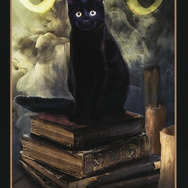 The Halloween Oracle Cards Deck - Tarot Cards