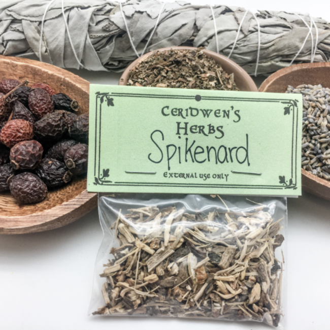 Spikenard Herbs Packets - .25oz (Spignet Life of Man Pettymorell Old Man's Root Indian Root Bitter Root Nard Nardo) Candle Magic Magik