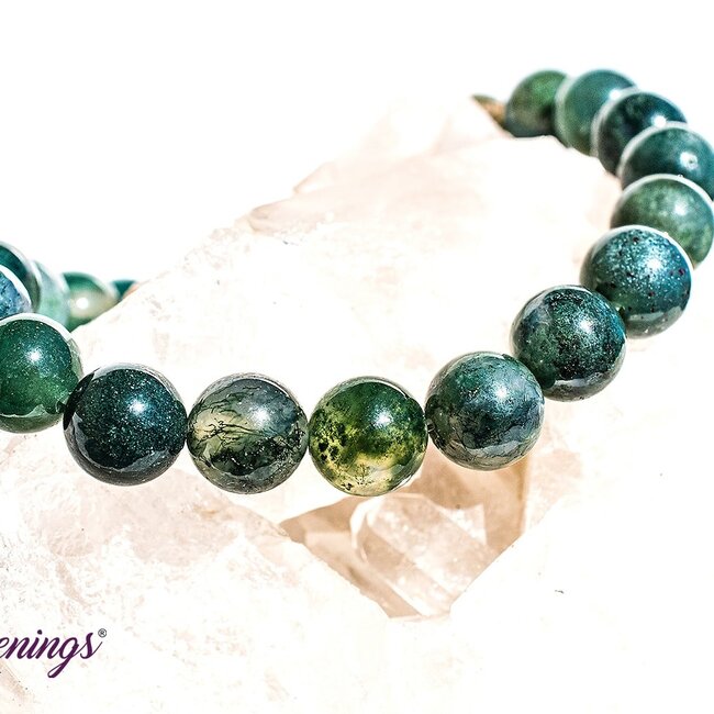 Green Moss Agate Bracelets - 8mm