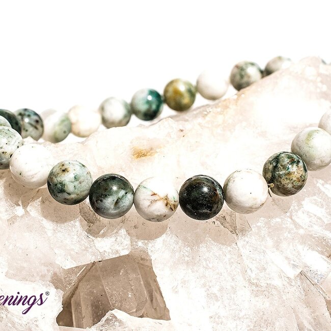 Mariposite Bracelets - 8mm