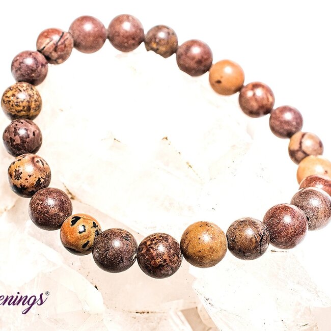 Mexican Agate Bracelets - 8mm