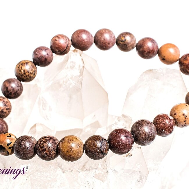 Mexican Agate Bracelets - 8mm