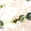 Green Prehnite Bracelets - 8mm (Epidote Inclusions)