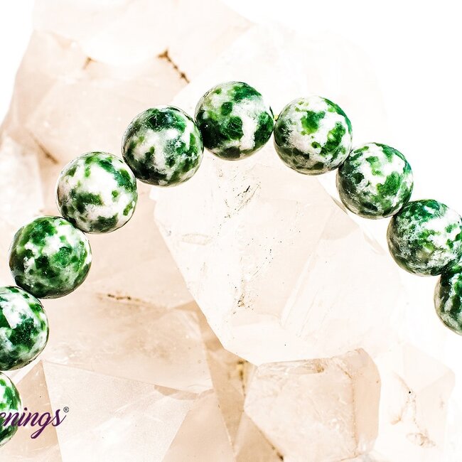 Tree Agate Bracelets - 8 - 9mm