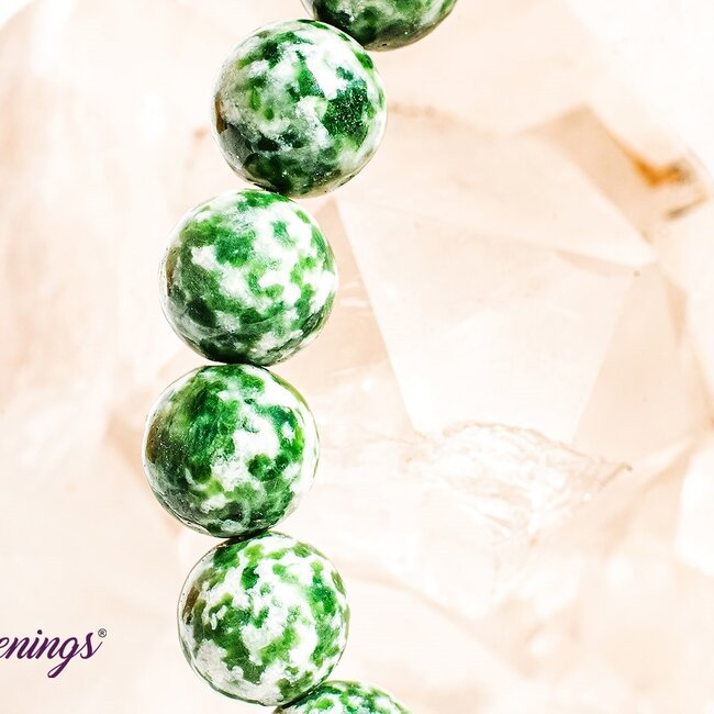 Tree Agate Bracelets - 8 - 9mm