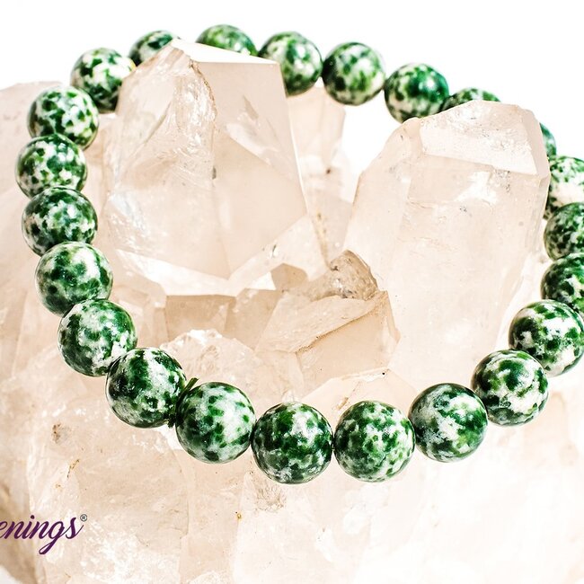 Tree Agate Bracelets - 8 - 9mm