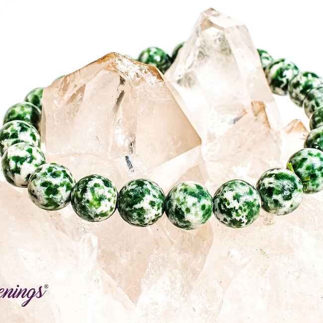 Tree Agate Bracelets - 8 - 9mm