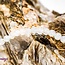 White Moonstone Bracelets - 3 - 4mm Mini