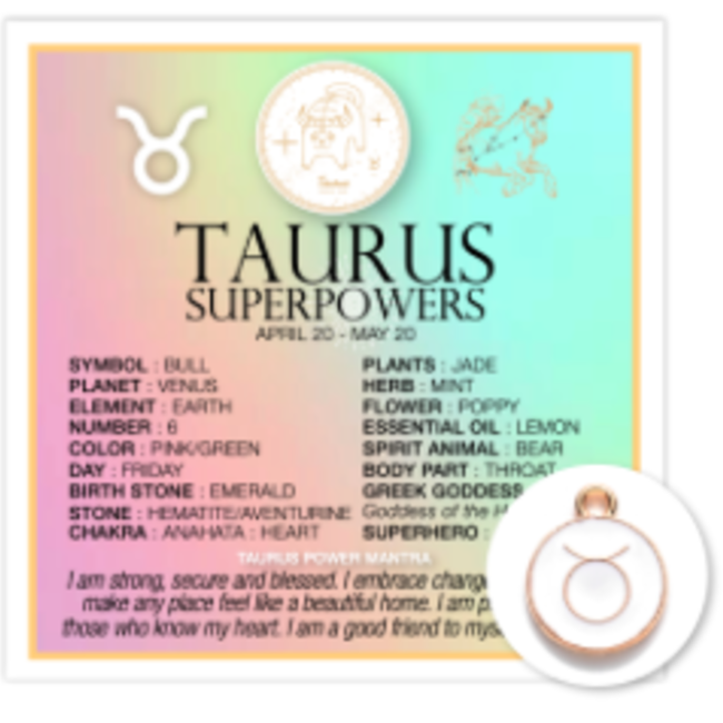 Taurus Pendant Charm with Zodiac Card