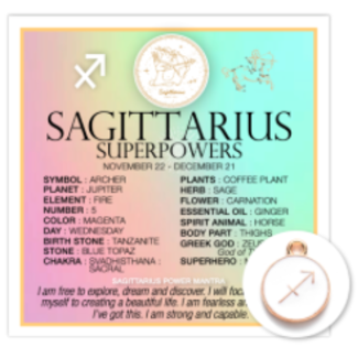 Sagittarius Pendant Charm with Zodiac Card