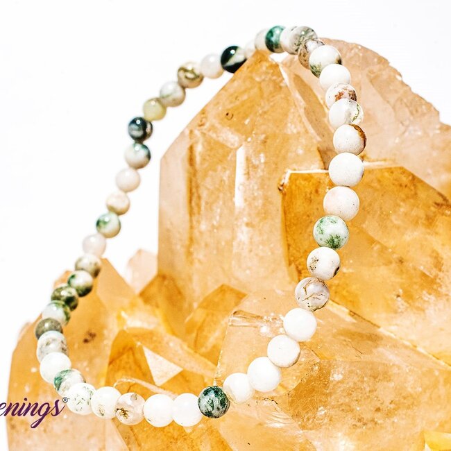 Tree Agate Bracelets - 4mm Mini