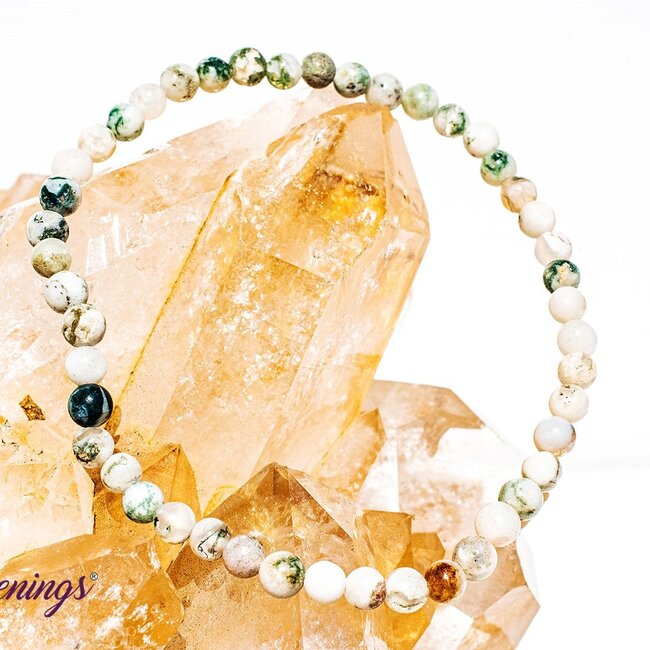 Tree Agate Bracelets - 4mm Mini