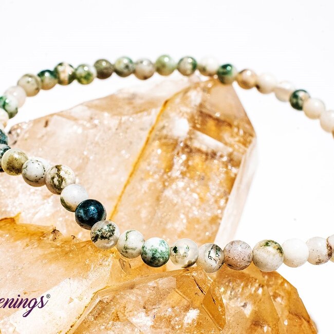Tree Agate Bracelets - 4mm Mini