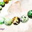 Variscite Bracelets - 8mm