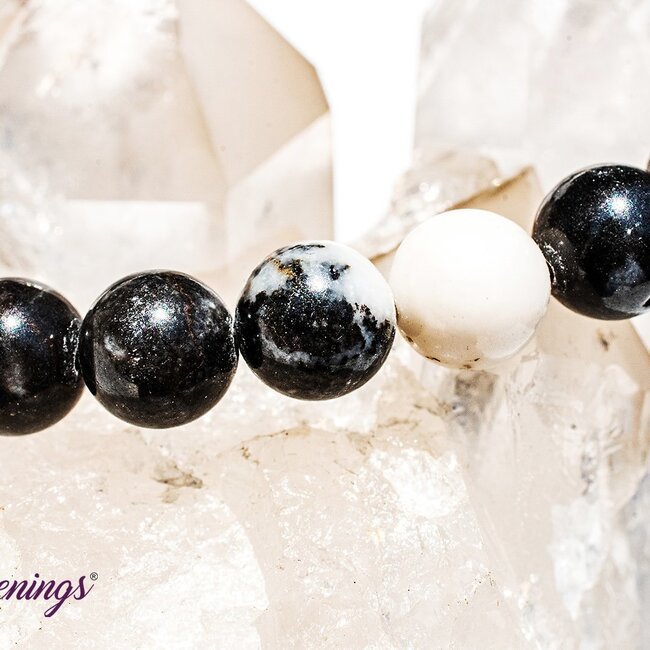 Zebra Agate Bracelets - 8mm