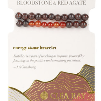 Bloodstone & Red Agate (Cleansing & Stability) Two Stone Bracelet-4mm