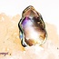 Abalone Shell - Tumbled