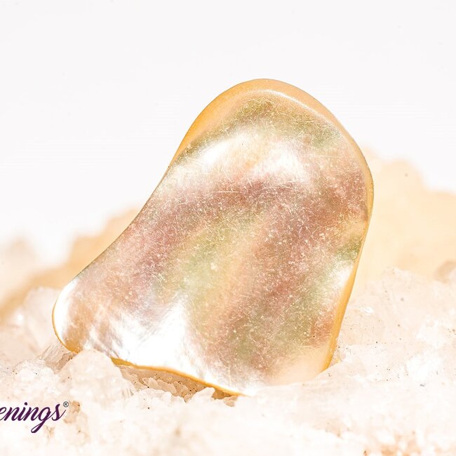 Abalone Shell - Tumbled