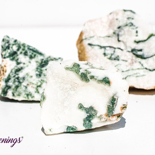 Tree Agate - Medium Rough Raw Natural