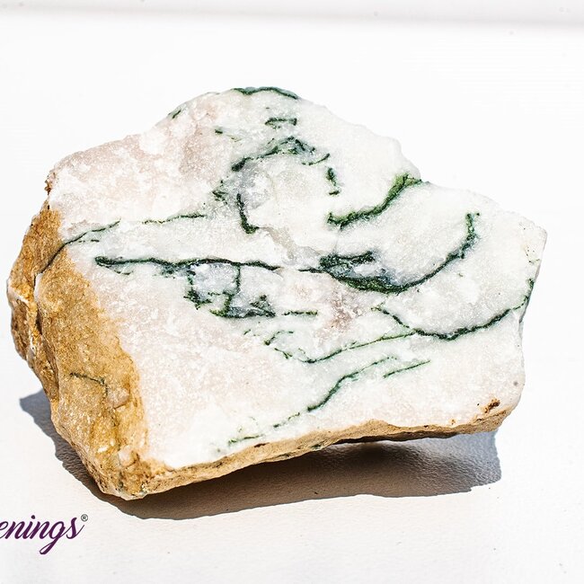 Tree Agate - Medium Rough Raw Natural